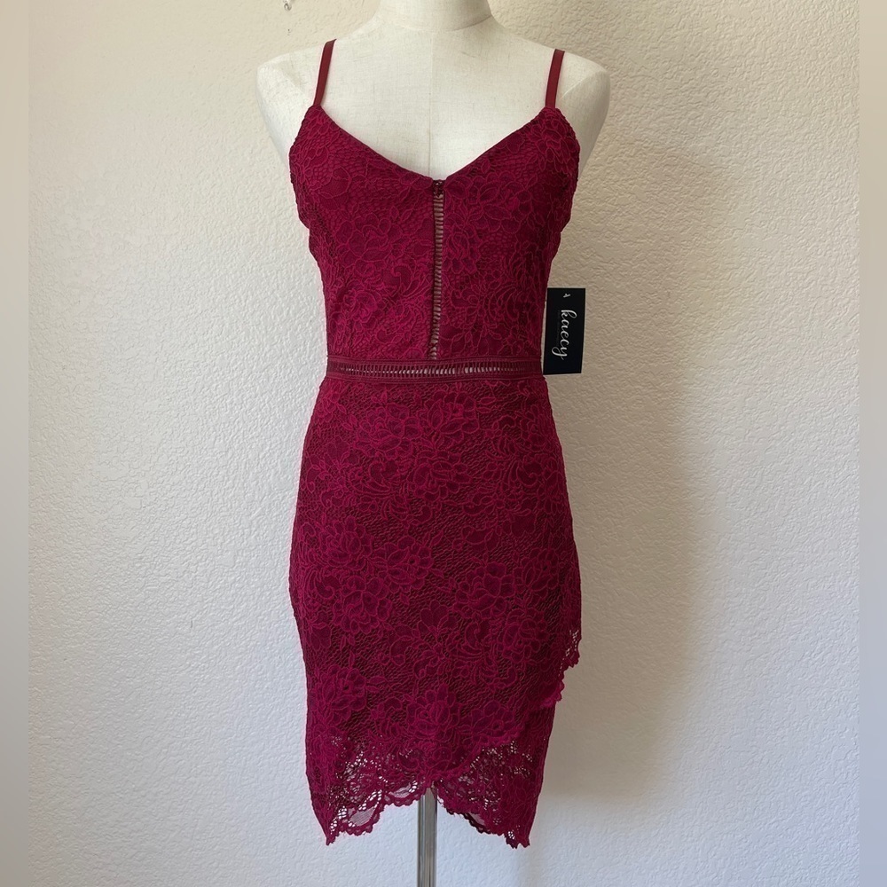 BIN#21 - NWTs Miao Miao Burgundy Lace Mini Dress